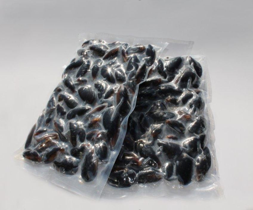 Mussel